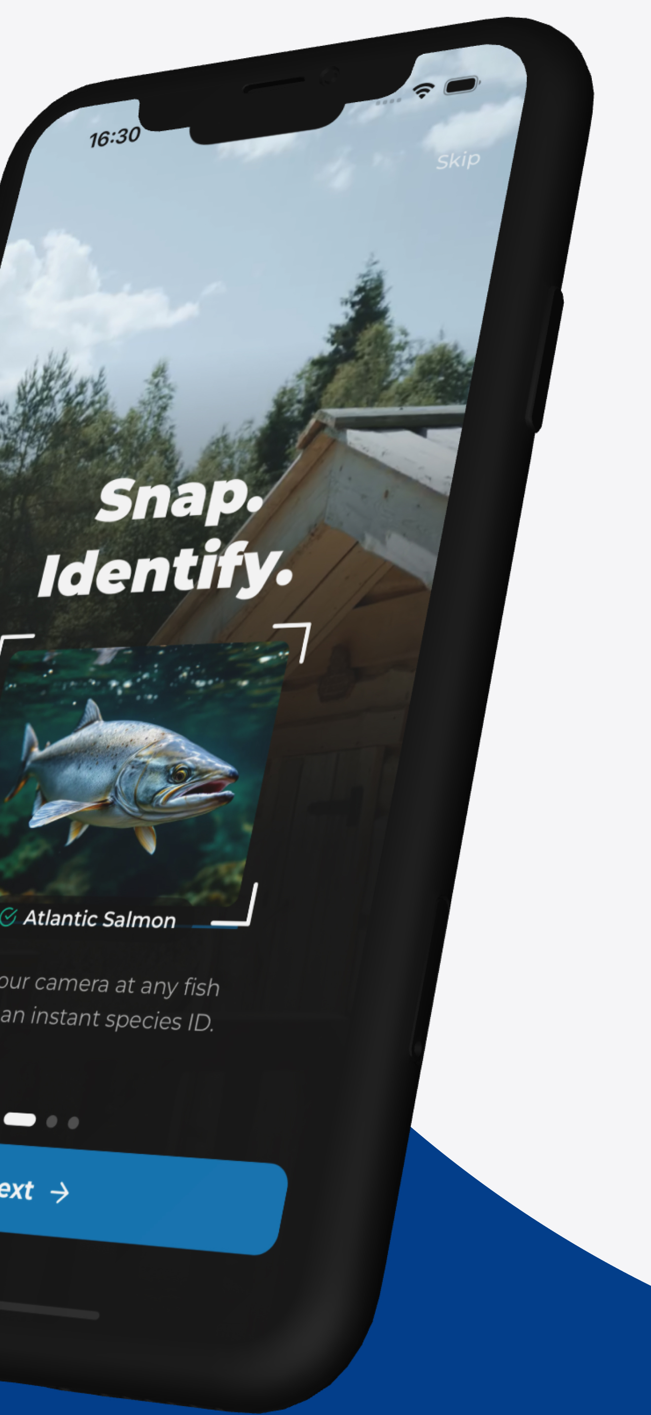 Fishify screenshot