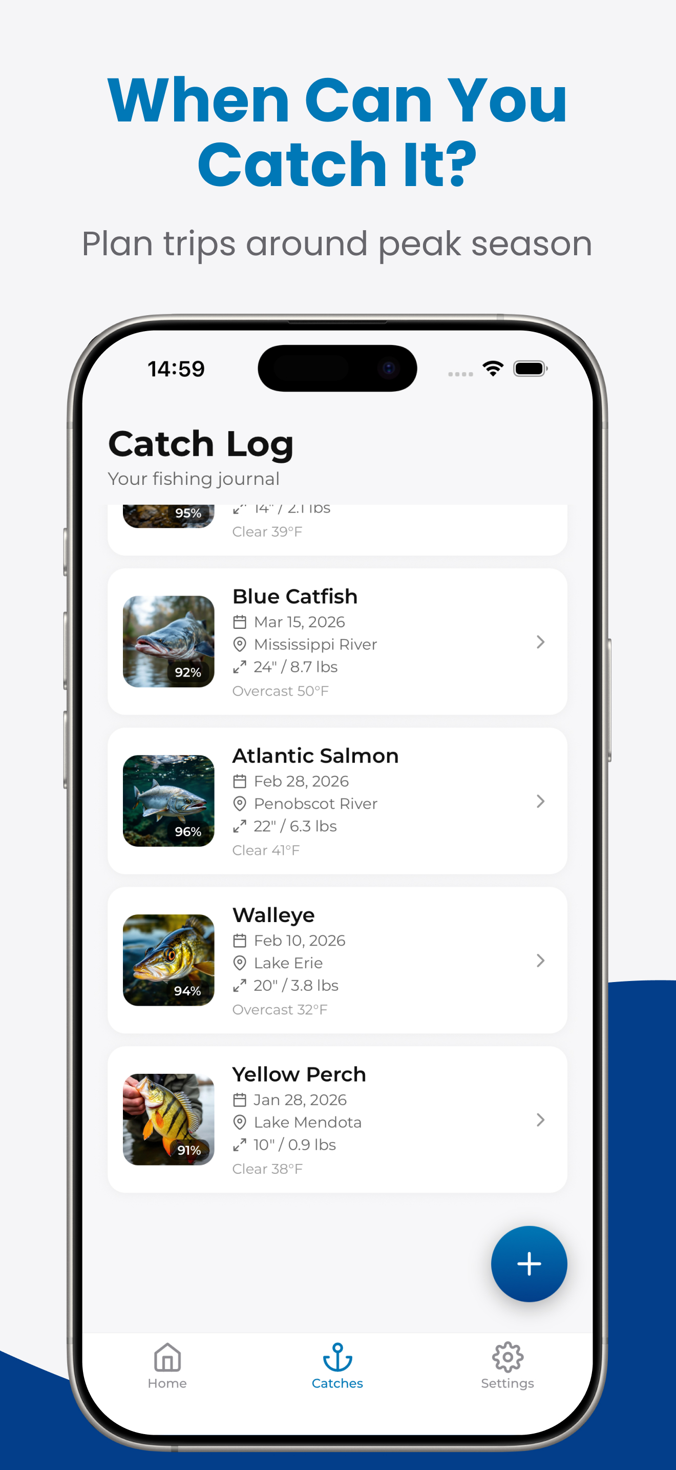 Fishify screenshot