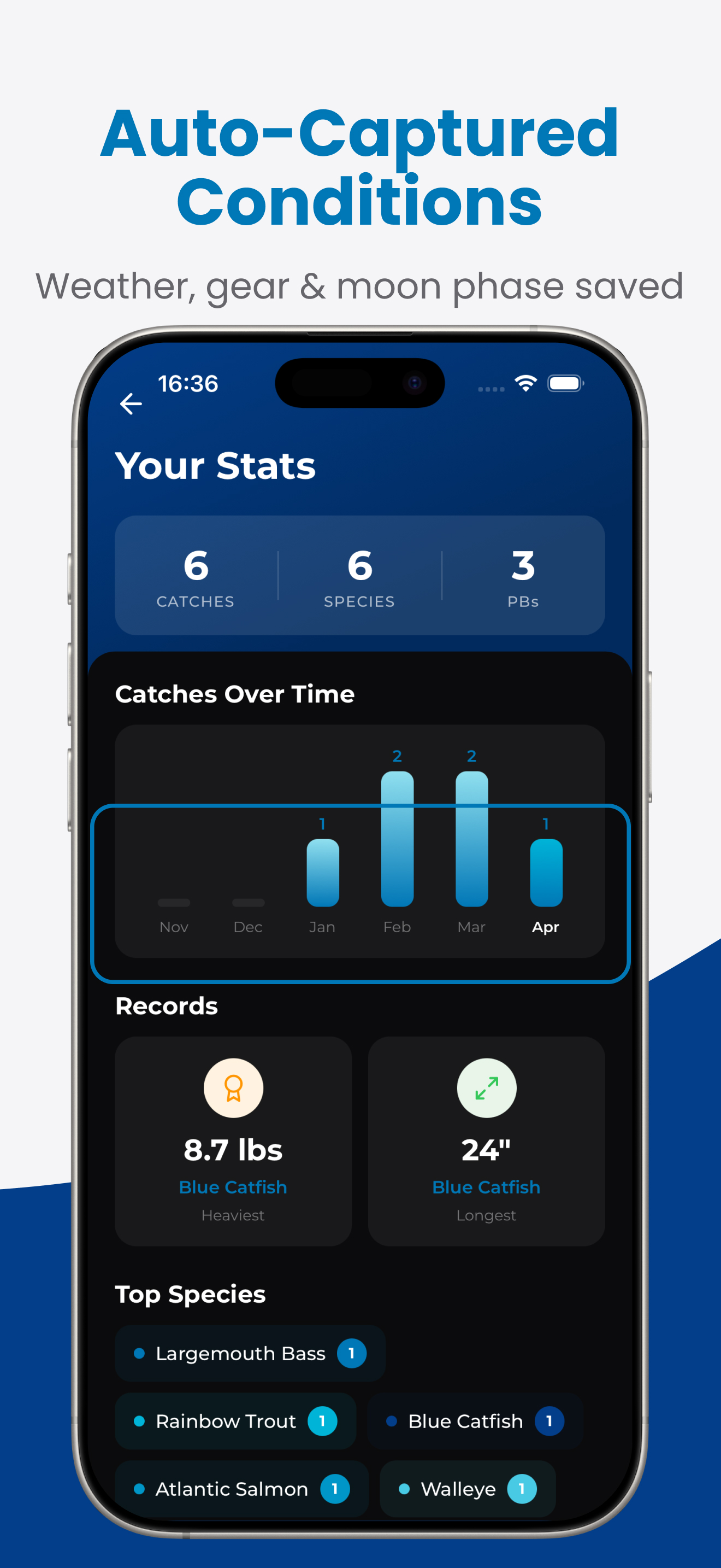 Fishify screenshot